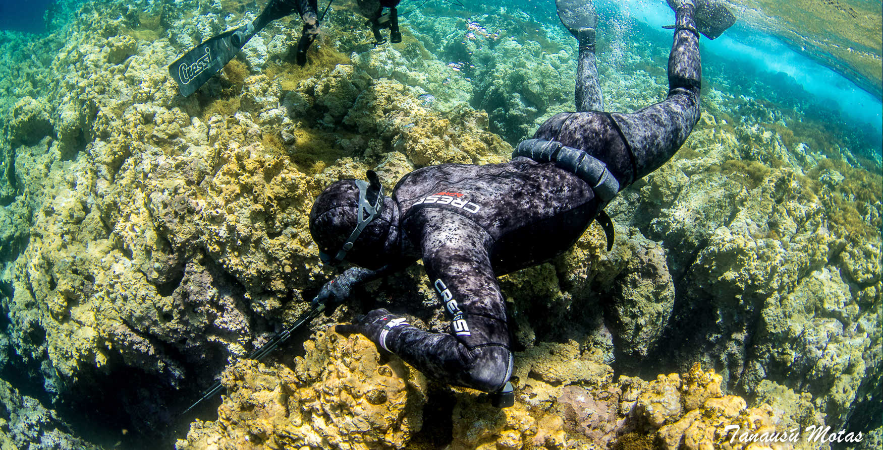 Diver with speargun in hand, ready for action.