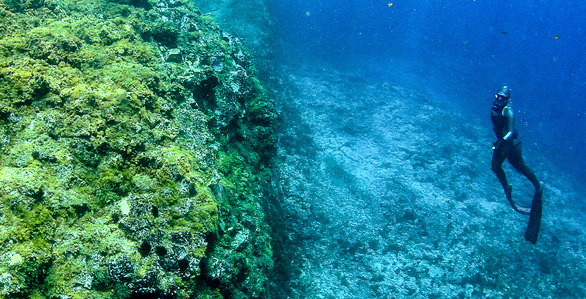 Spearfisher swimming gracefully through clear open water.